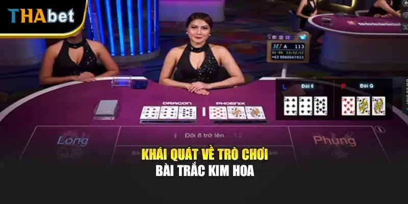 Khái quát về trò chơi bài Trắc Kim Hoa