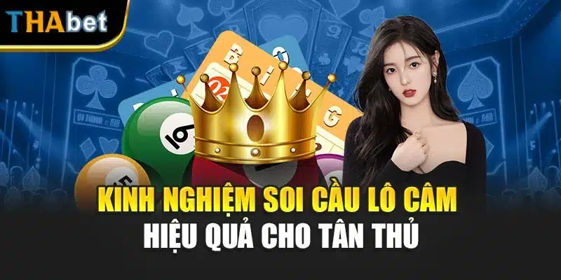 Kinh nghiệm soi cầu lô câm hiệu quả cho tân thủ