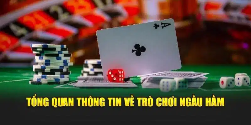 Tổng quan thông tin về trò chơi ngầu hầm